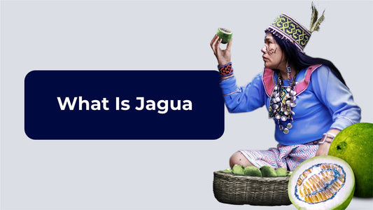 What Is Jagua?