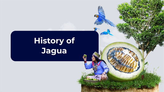 History of Jagua (Huito)