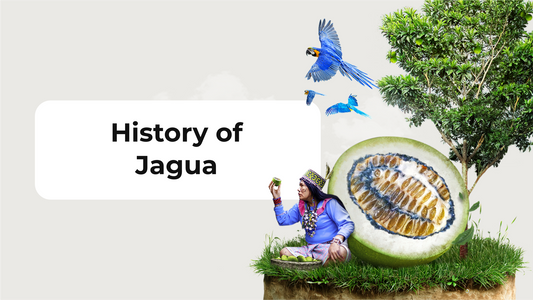 History of Jagua (Huito)