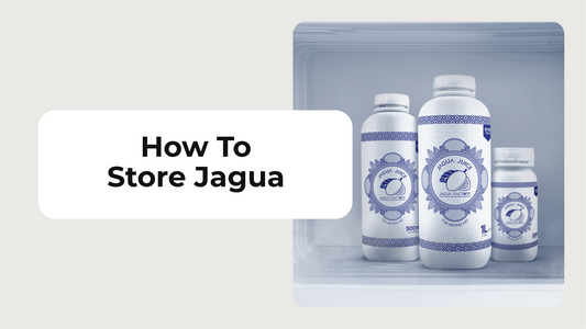 How To Store Jagua?