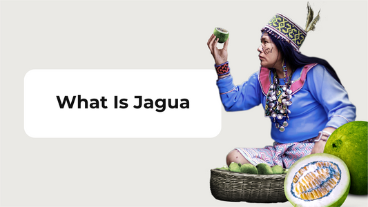 What Is Jagua?