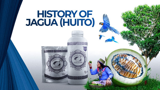 History of Jagua (Huito)