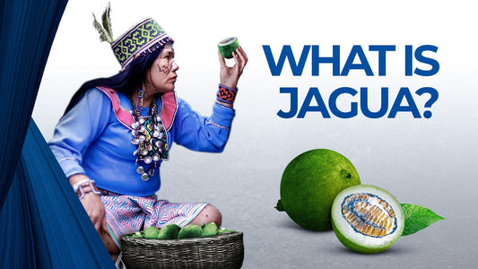 What Is Jagua?