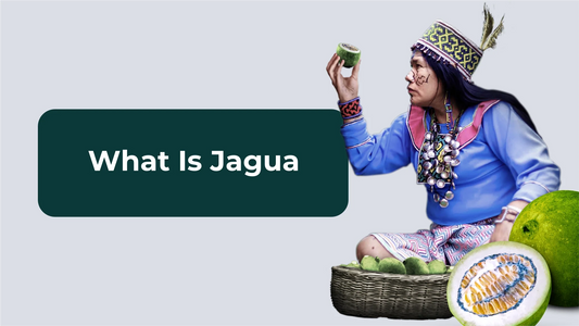 What Is Jagua?