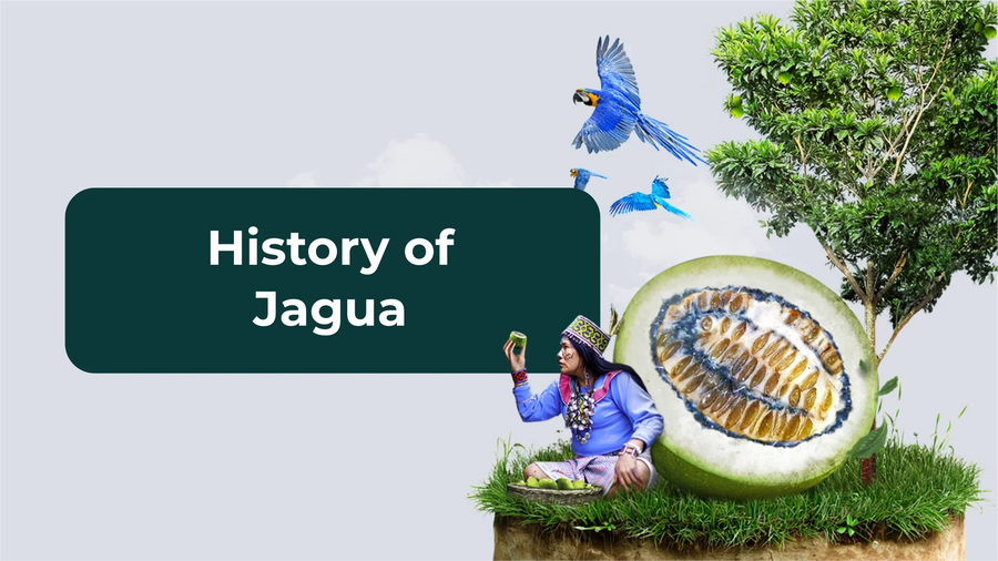 History of Jagua (Huito)