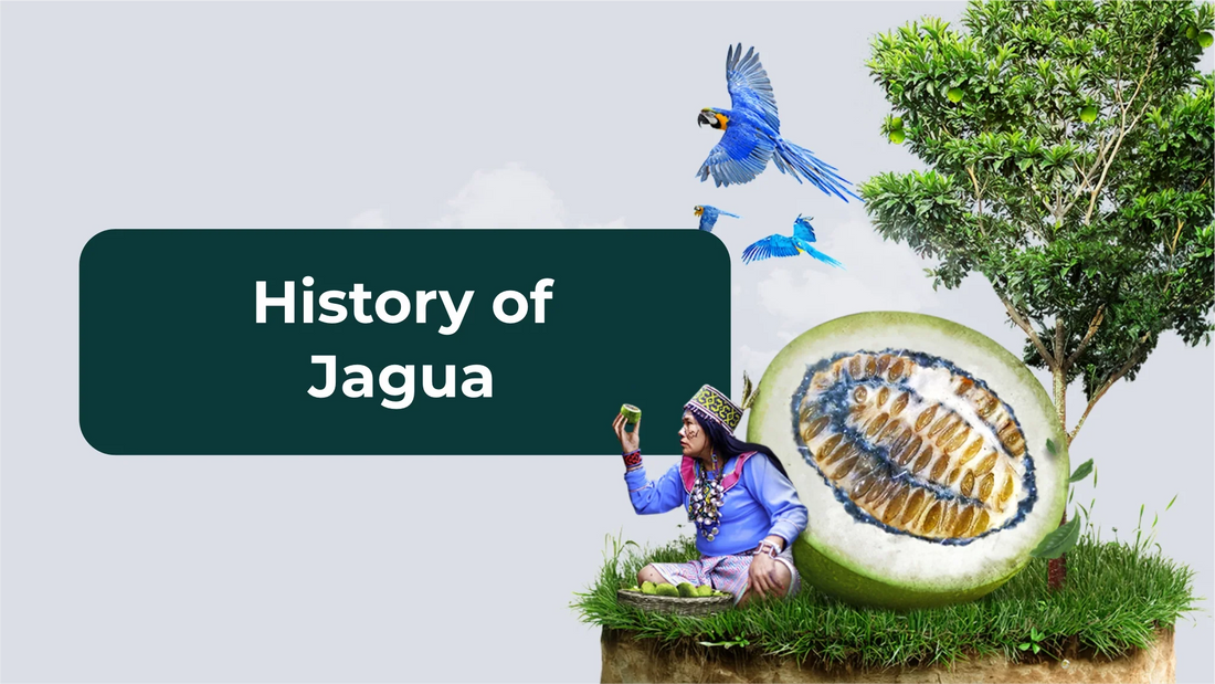 History of Jagua (Huito)