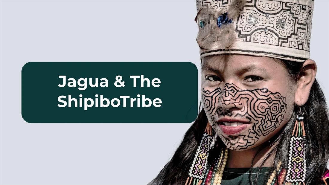 Jagua: The Traditional Blueish Dye of the Shipibo Tribe for Body Art and Medicinal Purposes