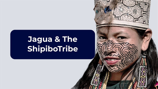 Jagua: The Traditional Blueish Dye of the Shipibo Tribe for Body Art and Medicinal Purposes